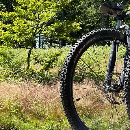Wunderschoenes Mit Bademantelgang Zur Wohlfuehltherme