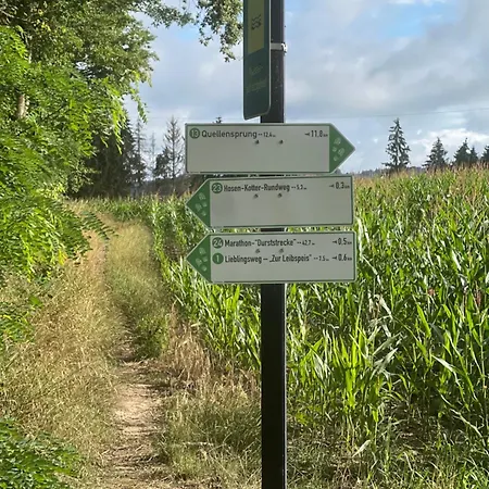 Wunderschoenes Mit Bademantelgang Zur Wohlfuehltherme Apartment